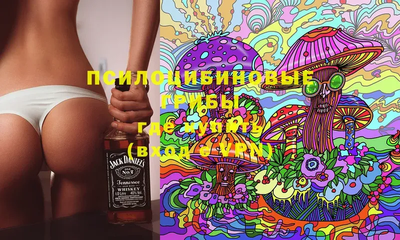 Псилоцибиновые грибы Psilocybine cubensis  это наркотические препараты  Черногорск  цены  